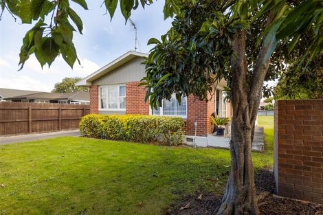 Photo of property in 43 Mowat Street, Springlands, Blenheim, 7201