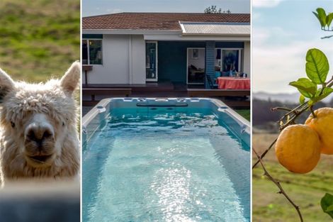 Photo of property in 22a Sargent Drive, Whakamarama, Katikati, 3181