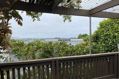 Photo of property in 58 Chamberlain Street, Tahunanui, Nelson, 7011