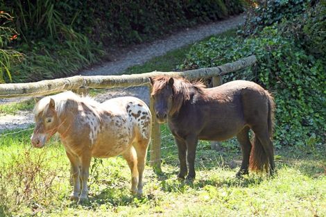 Photo of property in 275 Riwaka Valley Road, Riwaka, Motueka, 7198