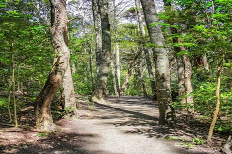 Photo of property in 2/46 Gladstone Road, Northcote, Auckland, 0627