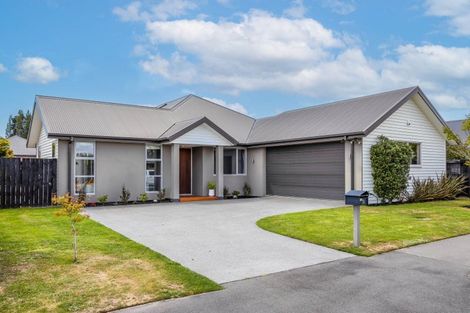 Photo of property in 50 Te Rito Street, Marshland, Christchurch, 8083