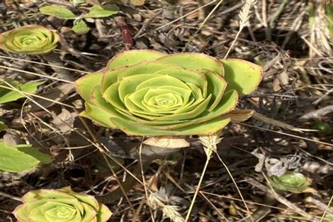 Photo of property in 276 Marine Drive, Charteris Bay, Governors Bay, 8971