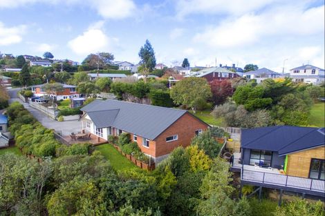 Photo of property in 46b Kenmure Road, Belleknowes, Dunedin, 9011