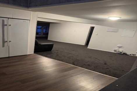 Photo of property in 46 Ivanhoe Road, Grey Lynn, Auckland, 1021