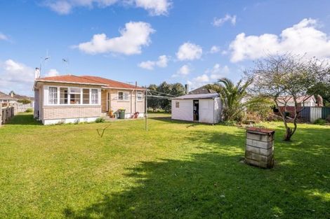 Photo of property in 25 Middlesex Street, Levin, 5510