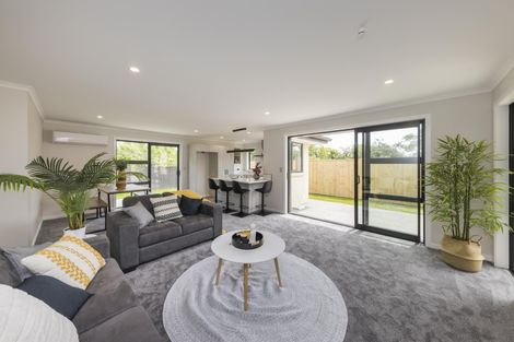 Photo of property in 107a Queen Street West, Levin, 5510