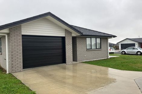Photo of property in 69 Hinemoa Street, Levin, 5510