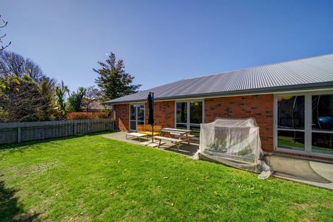 Photo of property in 44a Birdwood Avenue, Beckenham, Christchurch, 8023