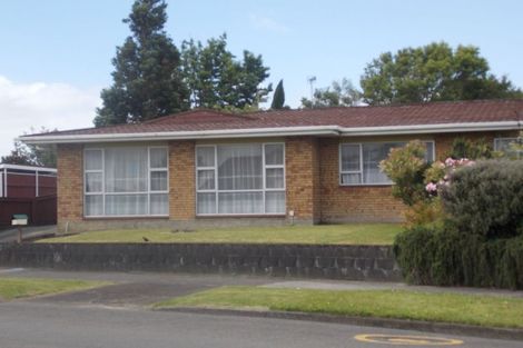 Photo of property in 411 Ruahine Street, Terrace End, Palmerston North, 4410
