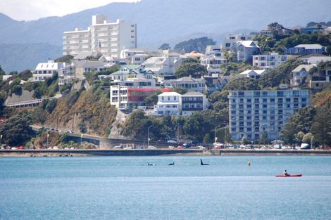 Photo of property in The Capital, 370 Oriental Parade, Oriental Bay, Wellington, 6011