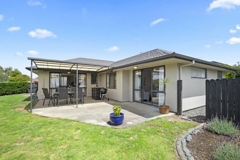 Photo of property in 42 Greig Place, Pukekohe, 2120