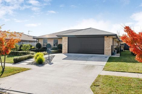 Photo of property in 6 Jarrett Terrace, Leamington, Cambridge, 3432