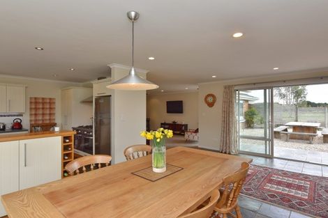 Photo of property in 131 Hodgsons Road, Loburn, Rangiora, 7472