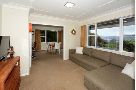 Photo of property in 28 Elliffe Place, Shiel Hill, Dunedin, 9013
