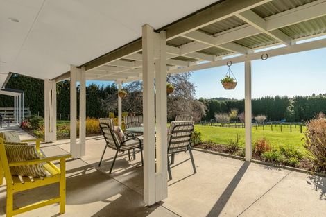Photo of property in 9d Mcquade Road, Whakamarama, Tauranga, 3179