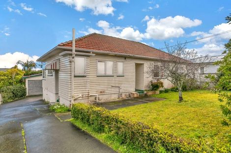 Photo of property in 48 Wainui Avenue, Point Chevalier, Auckland, 1022