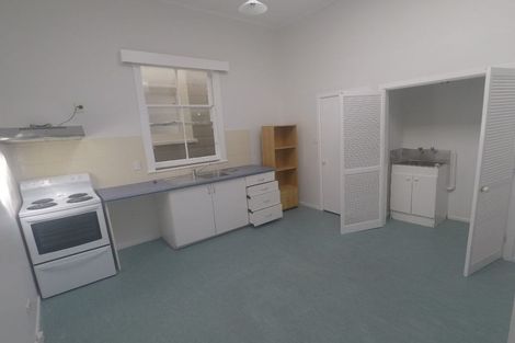 Photo of property in 250 Adelaide Road, Newtown, Wellington, 6021