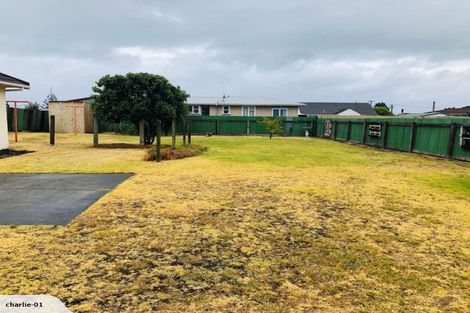 Photo of property in 15 Laird Street, Castlecliff, Whanganui, 4501