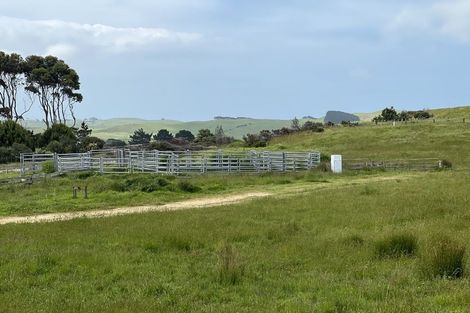 Photo of property in 486 Scottys Camp Road, Parore, Dargaville, 0377