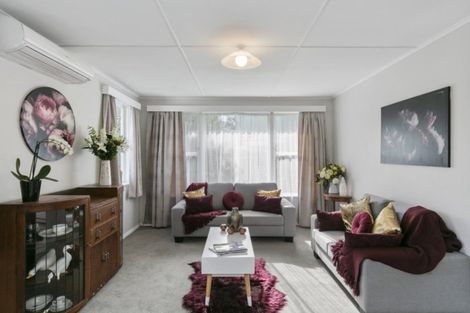 Photo of property in 20 Gear Terrace, Ranui, Porirua, 5024