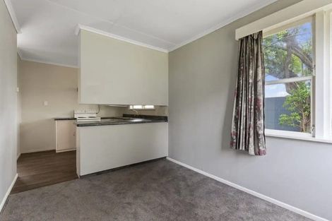 Photo of property in 20 Mckenzie Street, Levin, 5510