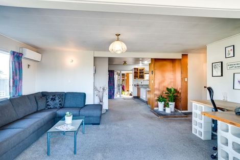 Photo of property in 43 Lanark Place, Tamatea, Napier, 4112