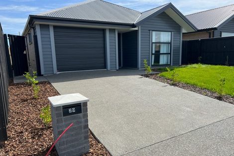 Photo of property in 29 Mills Road, Marshland, Christchurch, 8051