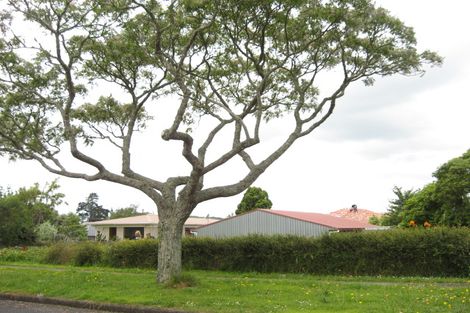 Photo of property in 1 Girdhar Place, Pukekohe, 2120