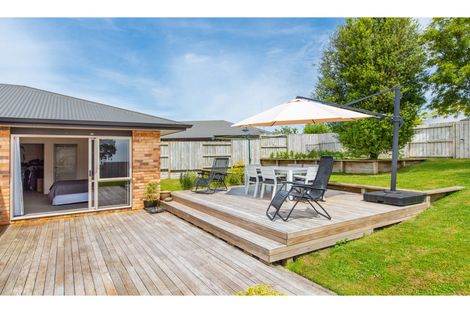 Photo of property in 74 Station Road, Matamata, 3400