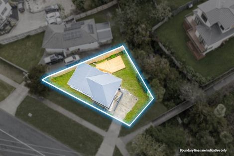 Photo of property in 101 Seabrook Avenue, New Lynn, Auckland, 0600