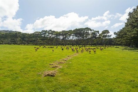 Photo of property in 1409 Collingwood-puponga Main Road, Pakawau, Collingwood, 7073