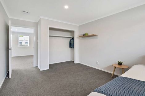 Photo of property in 113 Stanford Street North, Ashhurst, 4810