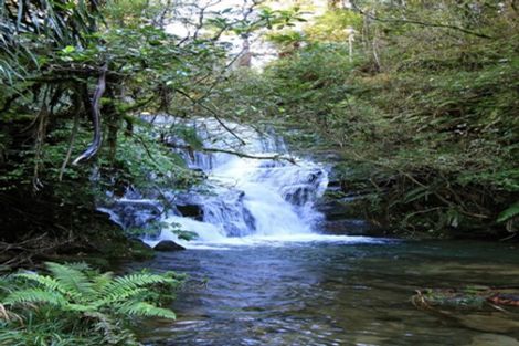 Photo of property in 695d Esdaile Road, Whakamarama, Tauranga, 3180