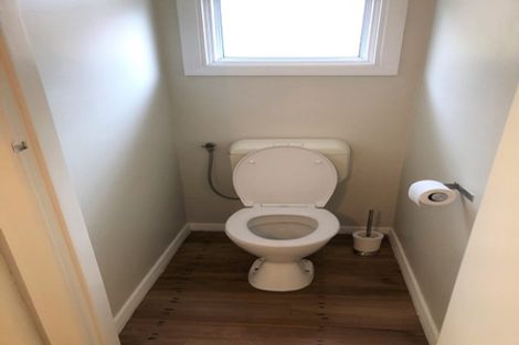 Photo of property in 54 Gibson Road, Dinsdale, Hamilton, 3204