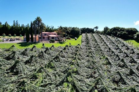 Photo of property in 6a Woodland Road, Tahawai, Katikati, 3170