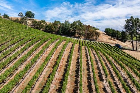 Photo of property in 147 Brookby Road, Hawkesbury, Blenheim, 7272