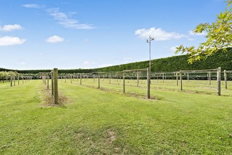 Photo of property in 1349 Tramway Road, Dunsandel, Leeston, 7682