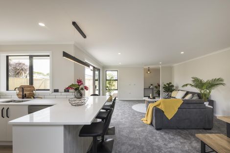 Photo of property in 107a Queen Street West, Levin, 5510