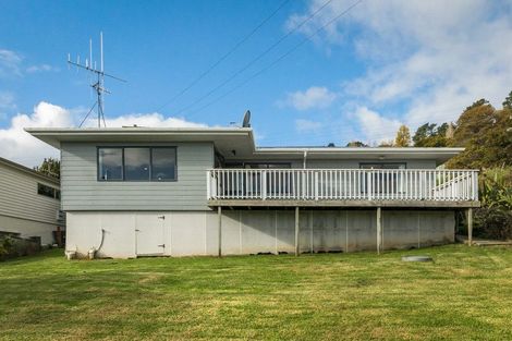 Photo of property in 107 Danby Street, Thames, 3500