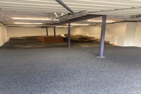 Photo of property in 1 Davies Street, Concord, Dunedin, 9018