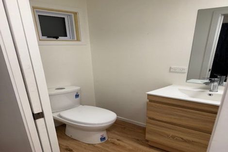 Photo of property in 46 Ivanhoe Road, Grey Lynn, Auckland, 1021