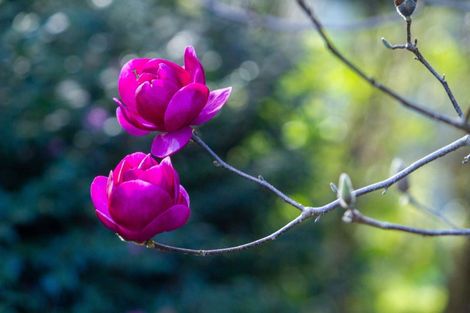 Photo of property in 598c Wright Road, Aongatete, Katikati, 3181