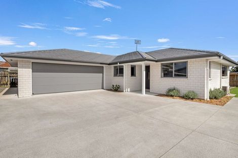 Photo of property in 137a Winchester Street, Levin, 5510