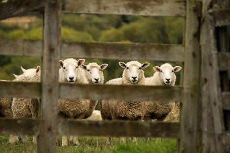 Photo of property in 125-127 Bell Road, Waiwhetu, Lower Hutt, 5010