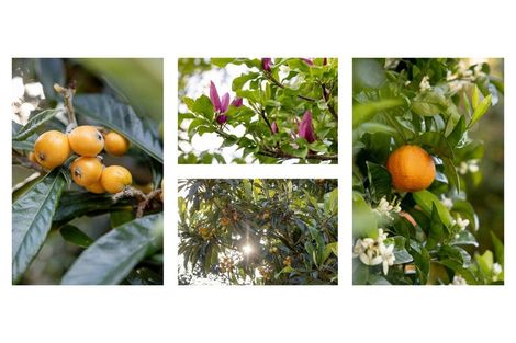 Photo of property in 116 Minden Road, Minden, Tauranga, 3176