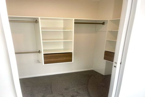 Photo of property in 17 Cyperus Street, Flat Bush, 2019