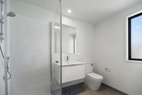 Photo of property in 19 Clay Works Lane, New Lynn, 0600