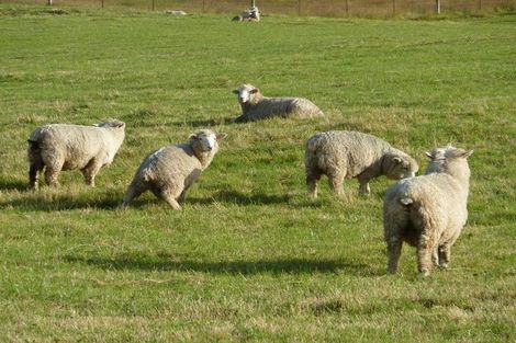 Photo of property in 18 Tirohanga Road, North Taieri, Mosgiel, 9092