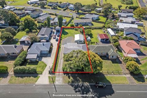 Photo of property in 44 Birdwood Road, Pukekohe, 2120